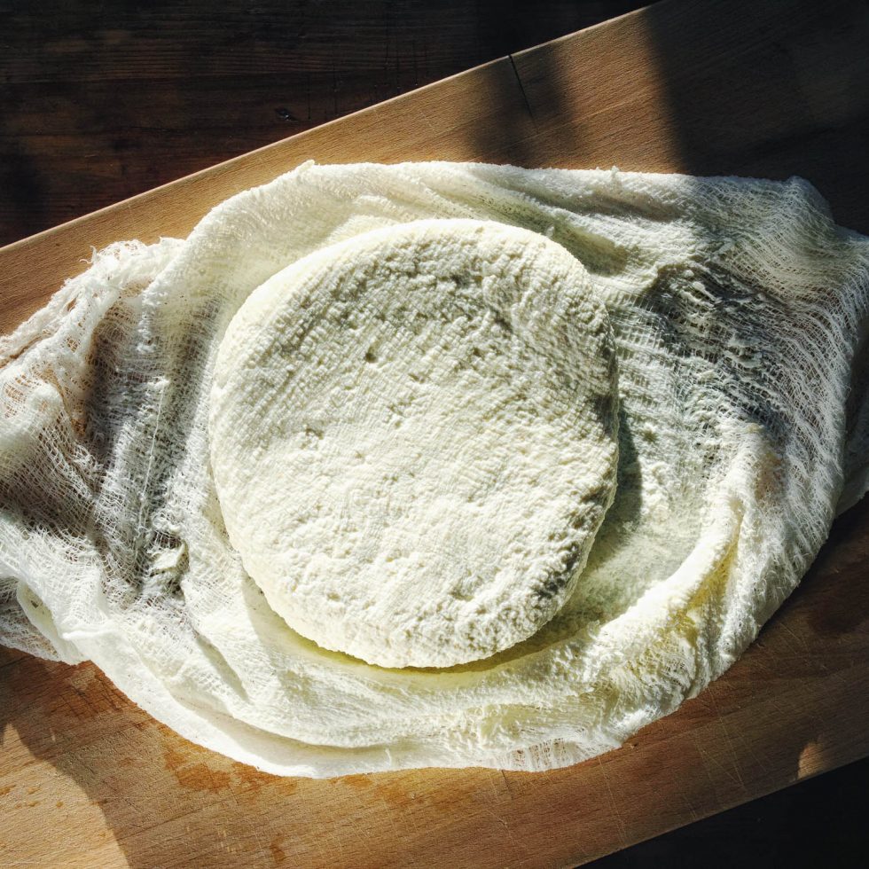 Панир (домашний сыр) - рецепт